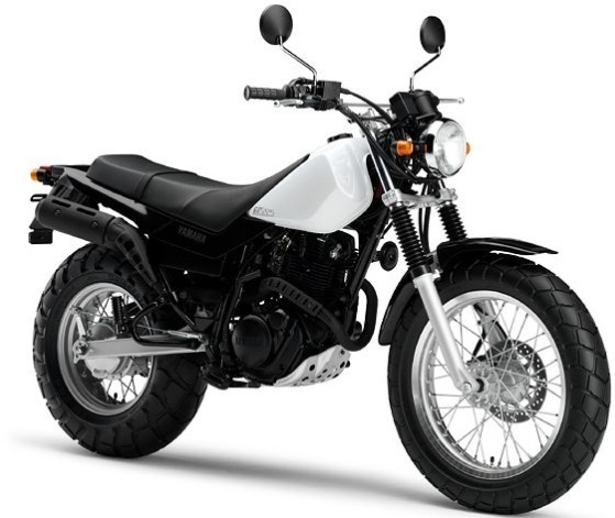 <span style="font-weight: bold;">Yamaha TW 225</span> <br>